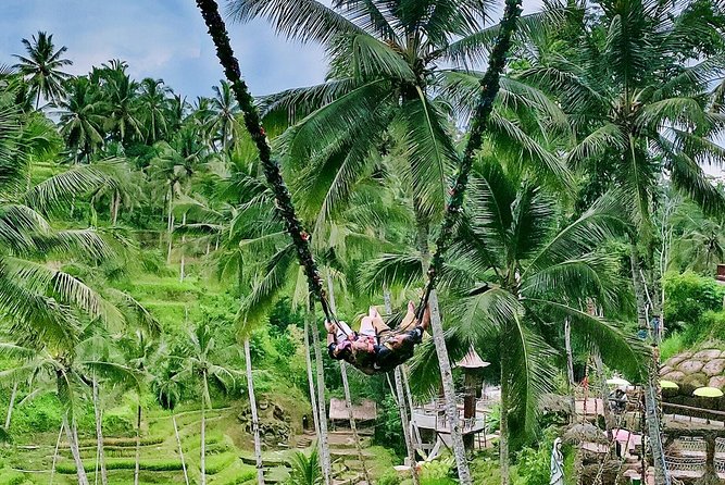 Bali Culture and Choose Your Bali Tour Route in Bali With Bali Driver-Free WIFI - Customer Feedback and Ratings