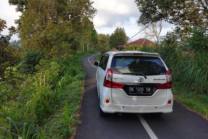 Bali Custom Car Charter - Yana Art Gallery