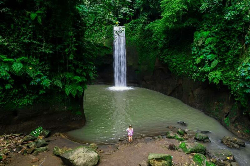 Bali: Custom Private Tour Professional Photographer & Drone - What You Can Expect During the Tour