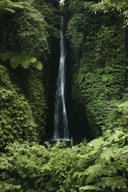 Bali: Custom Private Tour Professional Photographer & Drone - Frequently Asked Questions