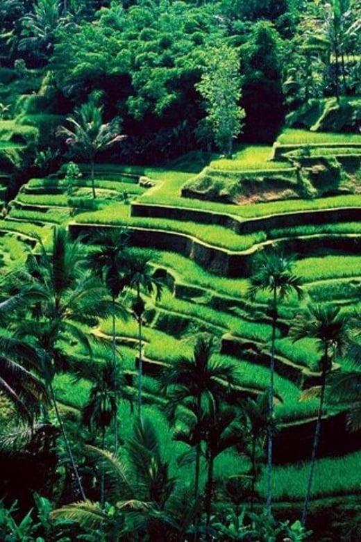 Bali Custom Tour - What to Bring