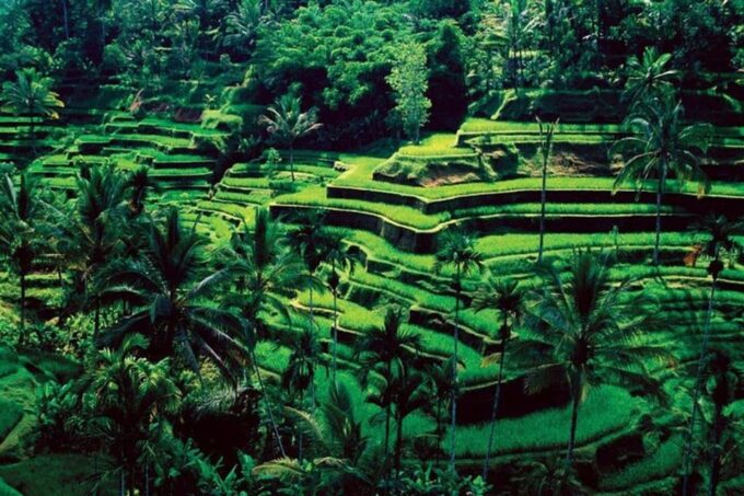 Bali Custom Tour - Tour Duration and Group Size