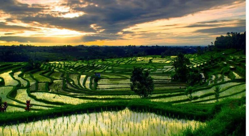 Bali: Customised North Bali Tour With Hotel Transfer - Transportation and Group Size