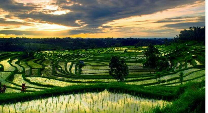 Bali: Customised North Bali Tour With Hotel Transfer - What to Pack and Prepare