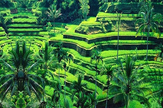 Bali Customizable 4 Days Private Tours, Visiting All Scenic Spots - Good To Know