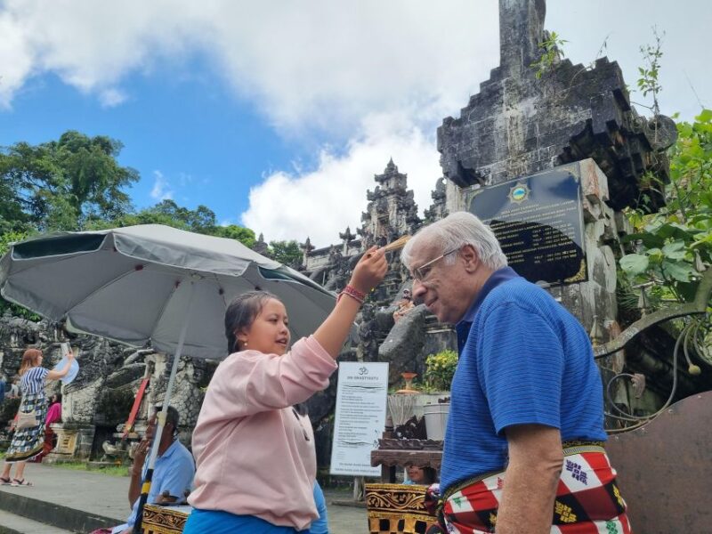 Bali: Customizable Private Tour With Driver-Guide - Key Points