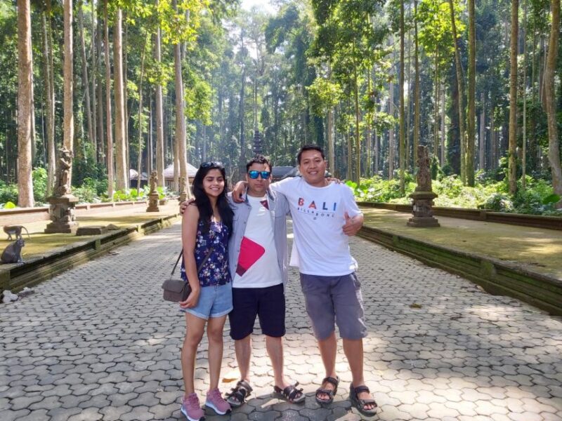 Bali: Customizable Private Tour With Driver-Guide - Pickup and Itinerary Options