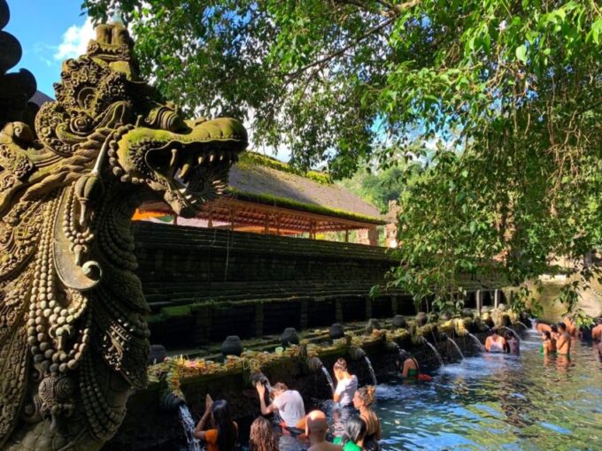 Bali: Customizable Private Tour With Driver-Guide - Memorable Experiences and Recommendations