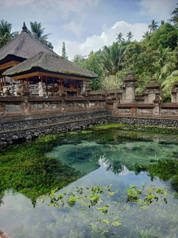 Bali: Customize Private Day Tour with Driver-Guide - Key Points