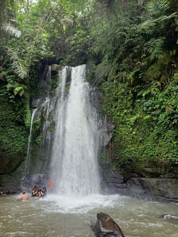 Bali: Customize Private Day Tour with Driver-Guide - FAQ