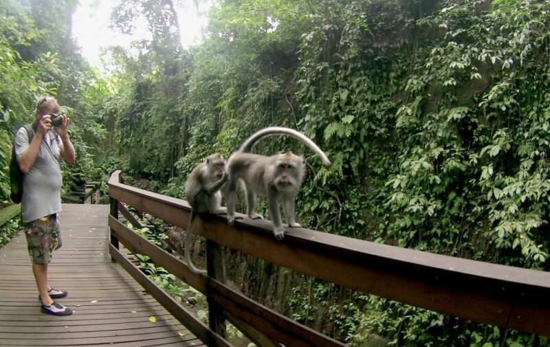Bali: Customize Your Own Private Guided Tour in Bali - Pricing and Inclusions