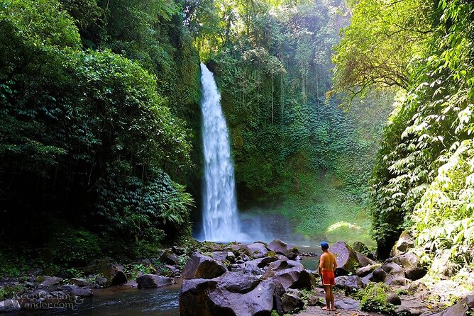 Bali Customized Private Car Charter With Driver - Pickup and Meeting Details