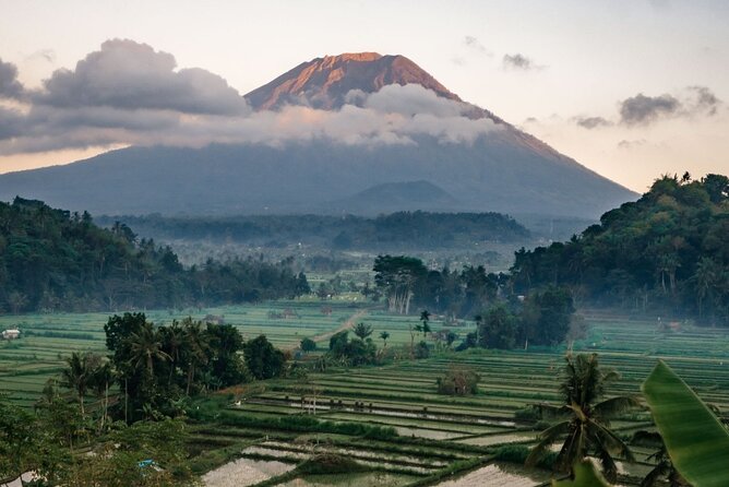 Bali Customized Private Car Charter With Driver - Cancellation and Flexibility Policies