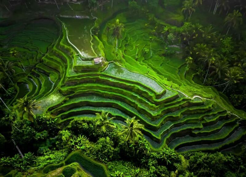 Bali: Customized Private Car Charter with Optional Guide - What to Expect in Terms Transportation