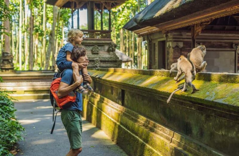 Bali: Customized Private Car Charter with Optional Guide - Duration and Itinerary Customization