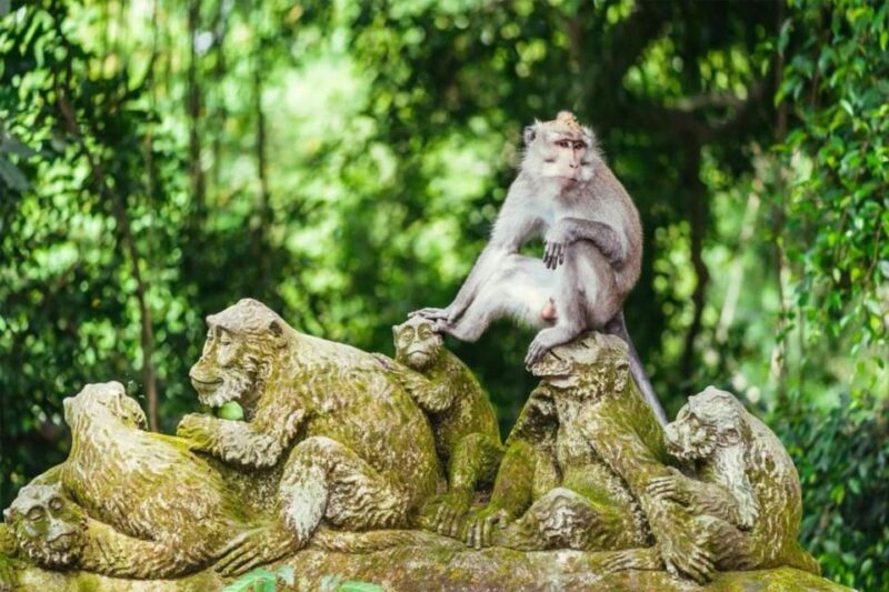 Bali: Customized Private Car Charter With Optional Guide - Pickup and Duration