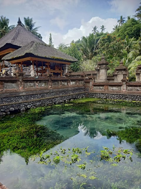 Bali: Customized Private Day Tour With Guide-Driver - Tour Features and Accessibility
