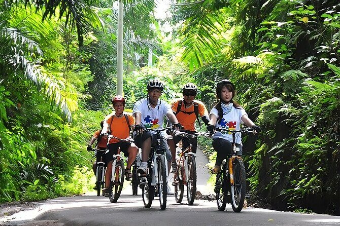 Bali Cycling and Ubud Waterfall Tour - The Essence of the Tour: What Makes It Stand Out