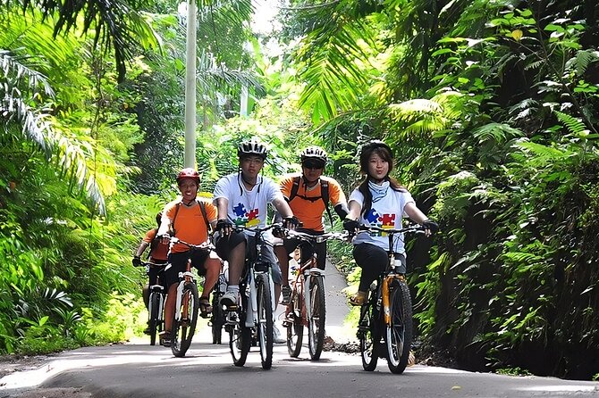 Bali Cycling and Uluwatu Sunset Tour With Dinner Packages - Enjoying the Kecak Dance Performance