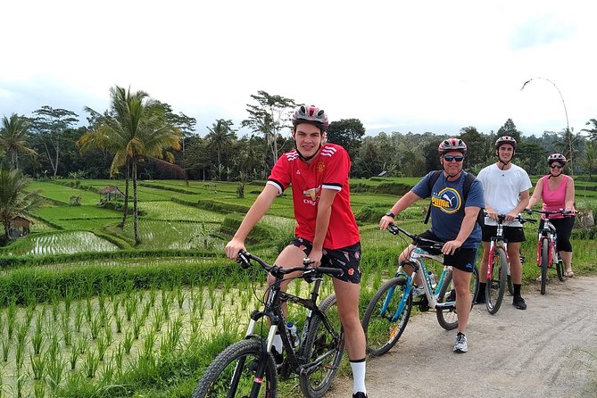 Bali Cycling Tour - Exploring Bali Countryside by Bike - Inclusions and Amenities