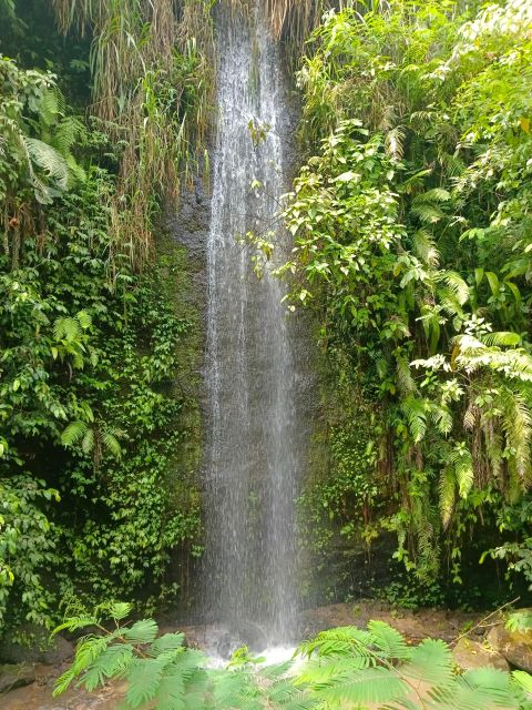 Bali : Day Trip to Besakih Temple & 2 Hidden Waterfalls - Itinerary Highlights