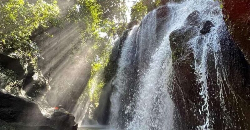Bali : Day Trip to Besakih Temple & 2 Hidden Waterfalls - Inclusions and Exclusions