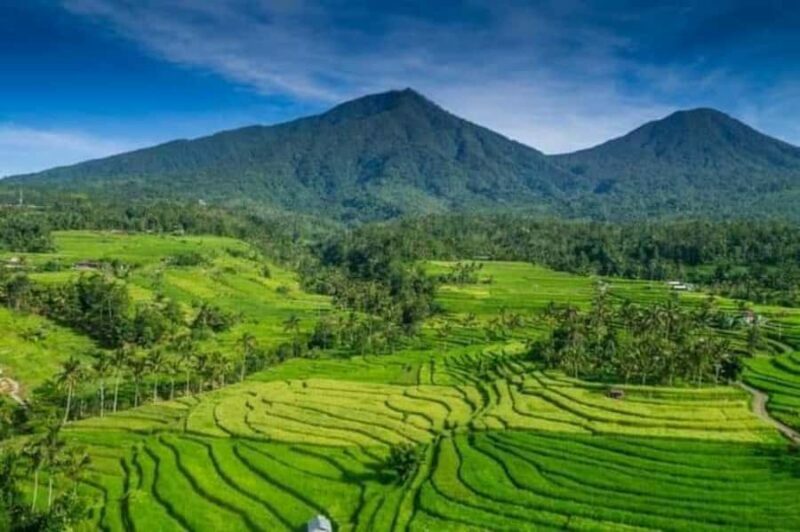 Bali : Design Your Customize Trip with Private Driver - Key Points