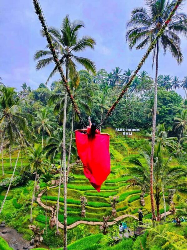 Bali : Design Your Customize Trip with Private Driver - Exploring Bali on Your Terms