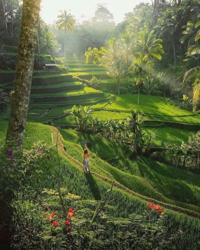 Bali : Design Your Customize Trip with Private Driver - What It Feels Like on the Day