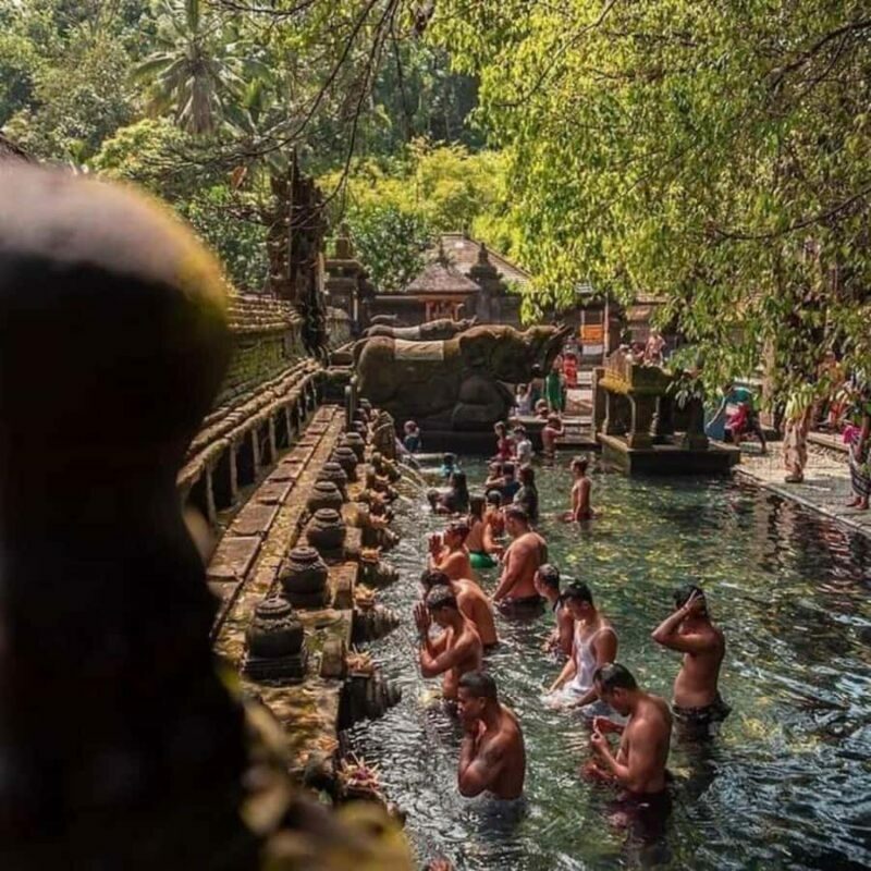Bali : Design Your Customize Trip with Private Driver - The Sum Up