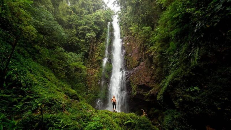 Bali: Discover Hidden Waterfalls Private All-Inclusive Tour - Key Points