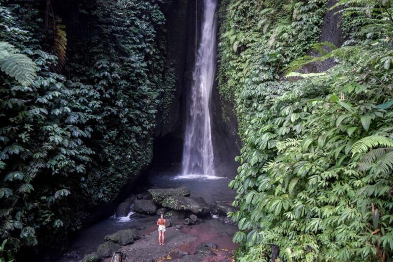 Bali: Discover Hidden Waterfalls Private All-Inclusive Tour - Itinerary and Highlights