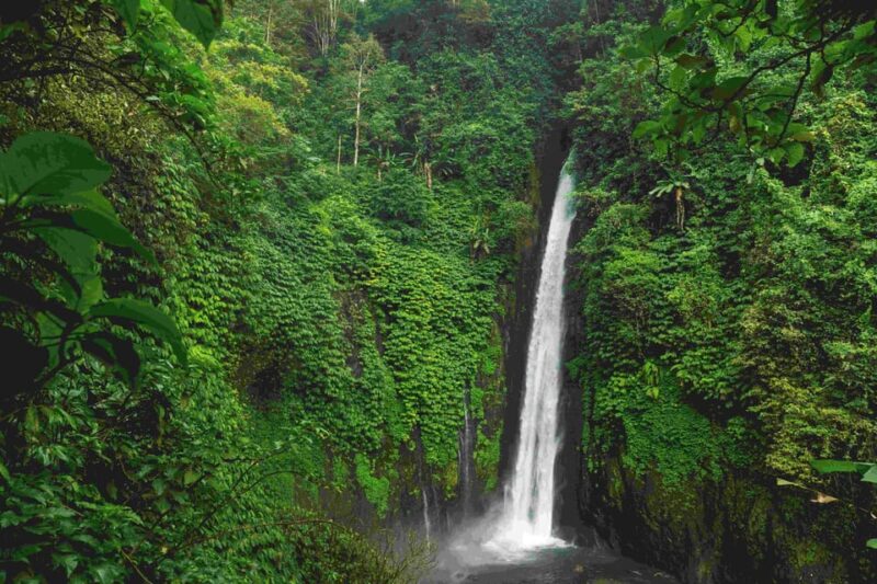 Bali: Discover Hidden Waterfalls Private All-Inclusive Tour - Preparation and What to Bring