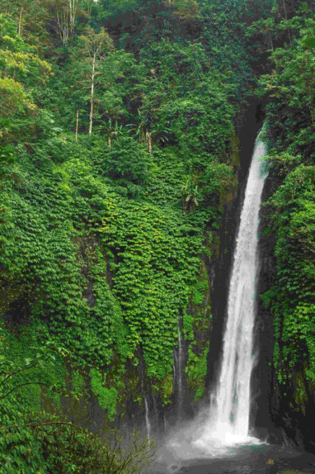 Bali: Discover Hidden Waterfalls Private All-Inclusive Tour - Discover Hidden Waterfalls in Bali