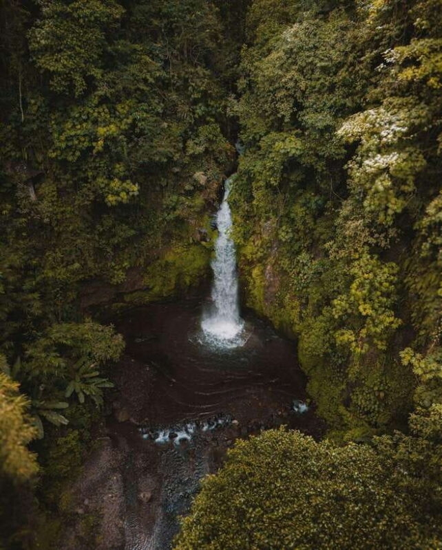 Bali: Discover Leke-leke, Nungnung, and Goa Gong Waterfalls - Key Points
