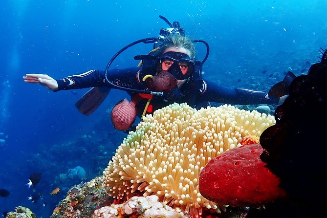 Bali Diving for Beginners: Tulamben Liberty Wreck - Exploring the USS Liberty Wreck