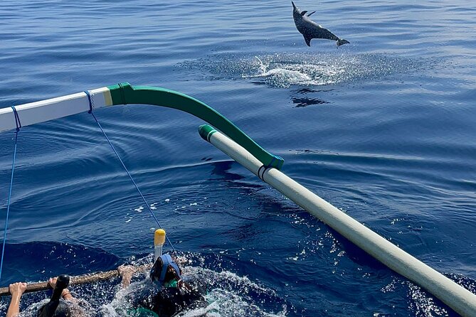Bali : Dolphin Sunrise Experience Tour Private All Inclusive - Multilingual Accessibility and Free Cancellation