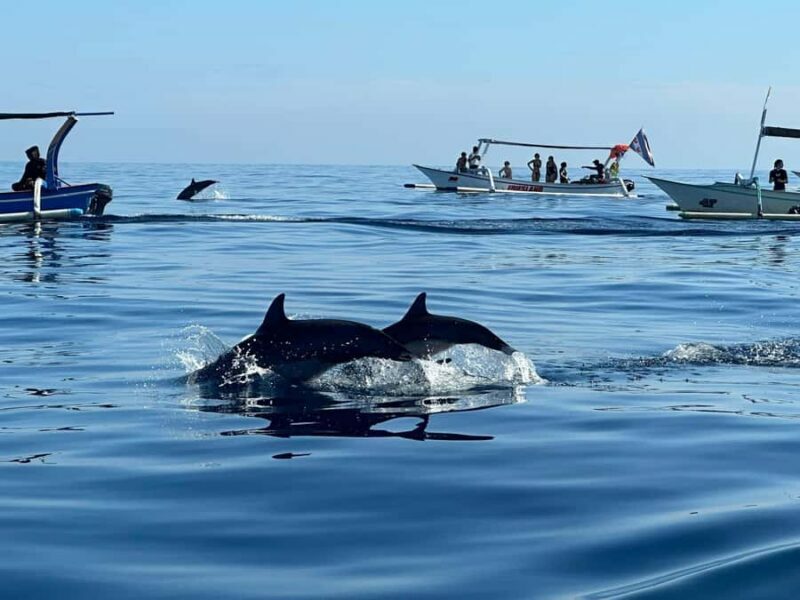 Bali: Dolphin Swimming Tour with ATV Quad Bike & Waterfall - What’s Included & Practical Tips