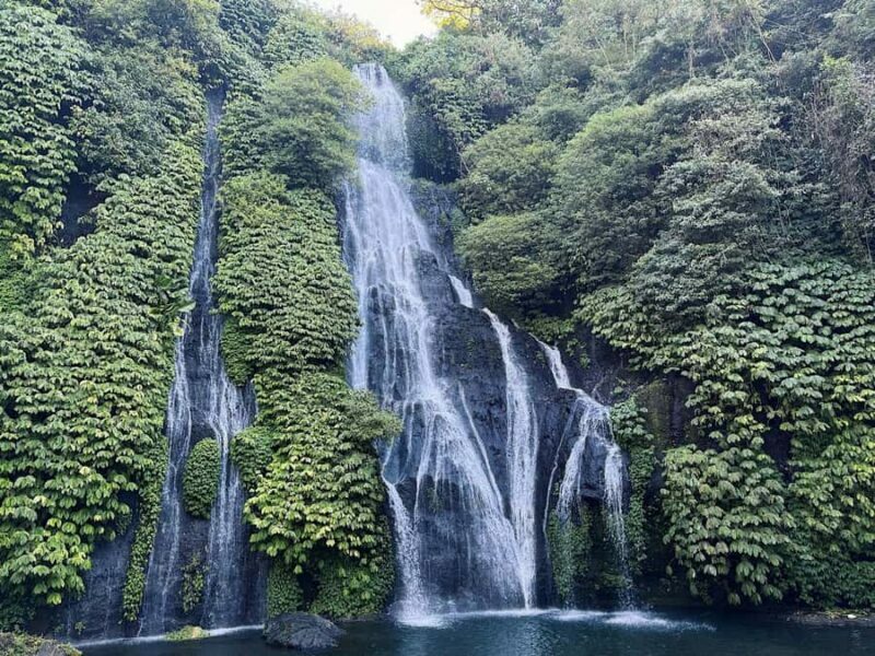 Bali: Dolphin Swimming Tour with ATV Quad Bike & Waterfall - FAQ