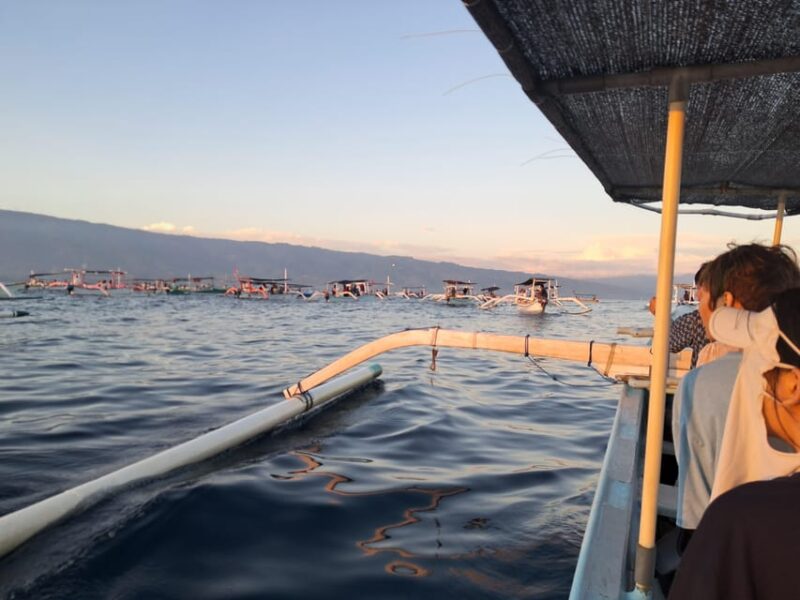 Bali Dolphin Tour - Key Points