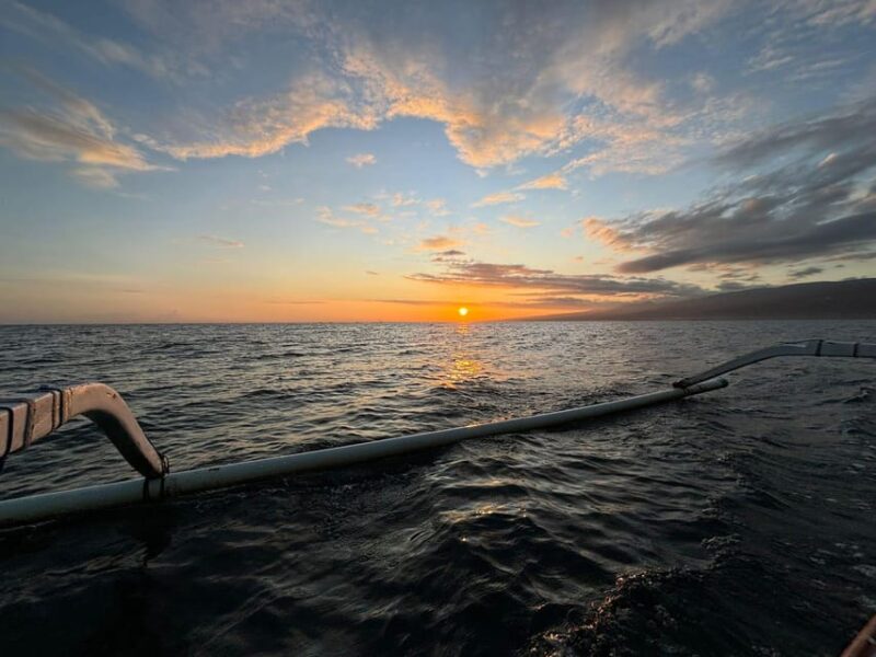 Bali Dolphin Watching and Northern Bali Tour - Itinerary