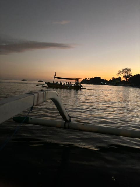 Bali Dolphin Watching and Northern Bali Tour - Important Information