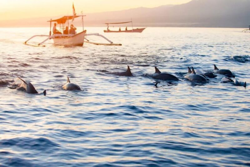 Bali: Dolphin Watching, Snorkeling & Hot Spring Tour - Itinerary and Activities