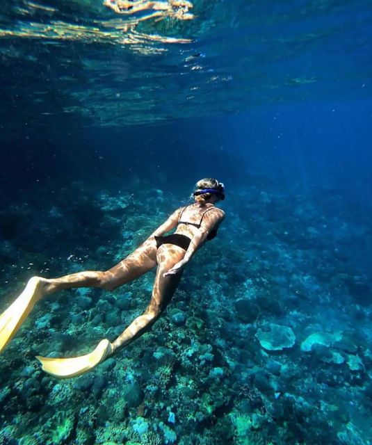 Bali: Dolphin Watching, Snorkeling & Hot Spring Tour - Snorkeling and Hot Spring
