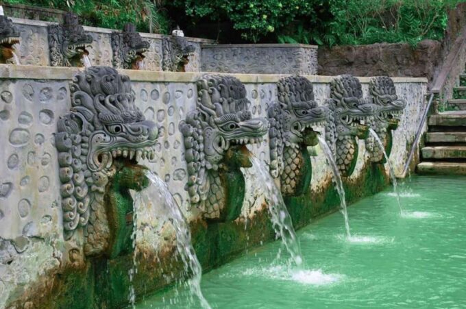 Bali: Dolphin Watching, Snorkeling & Hot Spring Tour - Customer Reviews