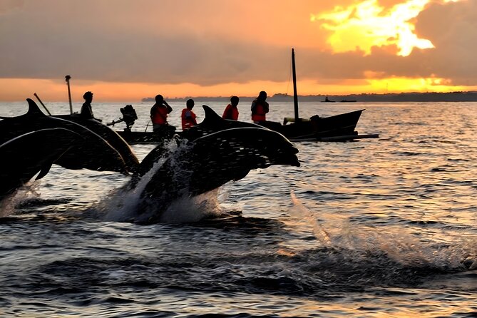 Bali Dolphin Watching Sunrise Tour in Lovina Beach - Sunrise Dolphin Watching