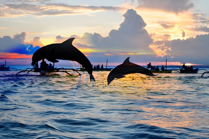 Bali Dolphin Watching Sunrise Tour in Lovina Beach - Twin Lakes Exploration
