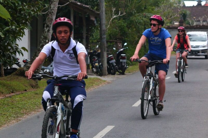 Bali Downhill Cultural Cycling Tour - Key Points
