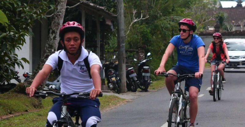 Bali Downhill Cultural Cycling Tour - Experience Highlights