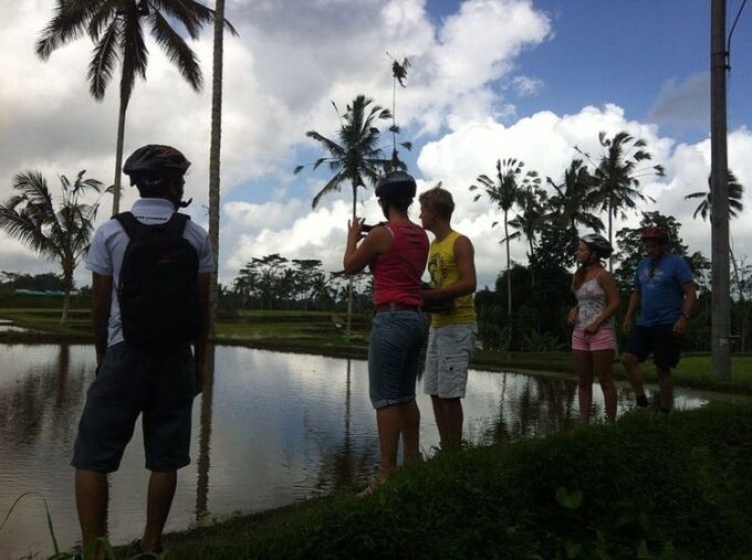 Bali Downhill Cultural Cycling Tour - Scenic Cycling Route